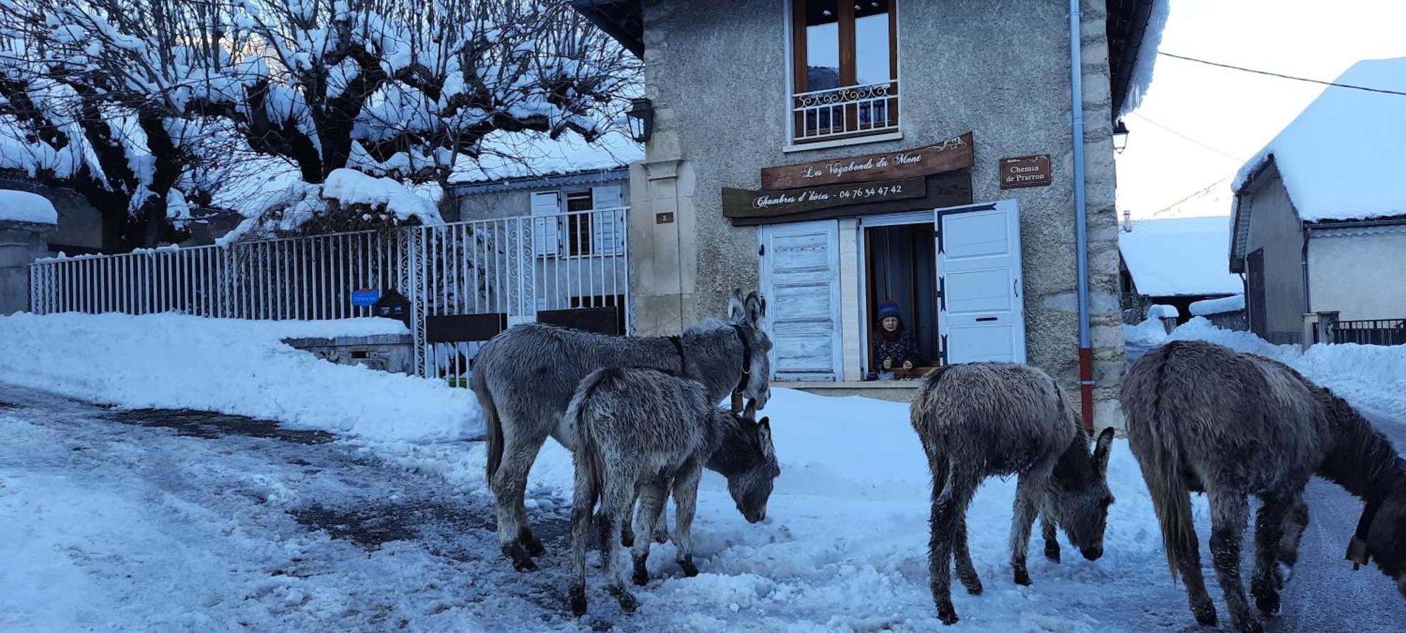 Bed and Breakfast Les Vagabonds Du Mont Chichilianne Екстер'єр фото